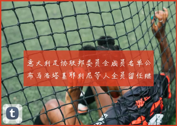 意大利足协联邦委员会成员名单公布马洛塔基耶利尼等人全员留任继续服务
